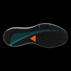 Air Winflo 9 Shield, Lopesko Herre