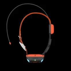 Alpha T20 Gps Collar, Hundehalsband, Gps