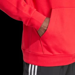 Arsenal Fc Dna Hoodie, Hettegenser, Herre