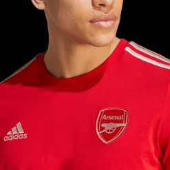 Arsenal Fc Dna Tee, T-Skjorte, Herre