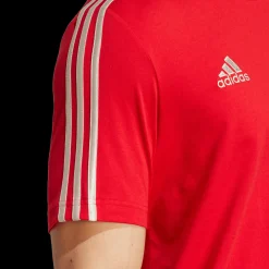 Arsenal Fc Dna Tee, T-Skjorte, Herre