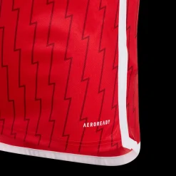 Arsenal Fc Home Jersey Y 2023/24, Fotballdrakt, Junior