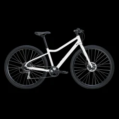 Ax 290 Ff Ane 23, Hybridysykkel, Dame