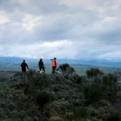 Beretta 687 Silver Pigeon Iii My20, 12-76 71 Rh, Hagle