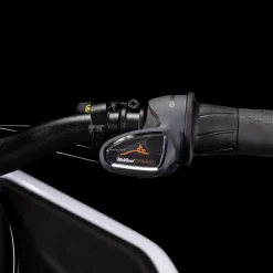 Cargo Hybrid Sport Dual Cargo 85Nm 1000Wh 23, Elsykkel, Lastesykkel, Unisex