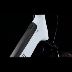 Cube Trike Hybrid Family 750, Hybridsykkel, Elsykkel, Unisex