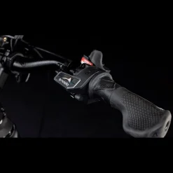 Cube Trike Hybrid Family 750, Hybridsykkel, Elsykkel, Unisex