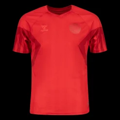 Denmark Home Jersey Ss / Wc22, Fotballdrakt Senior