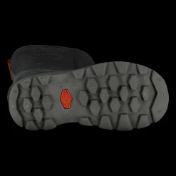 Domsten, Vintersko Barn