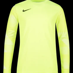 Dri-Fit Park Iv Jersey Long Sleeve Goalkeeper, Malvaktstroye Junior