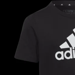 Essential Big Logo Cotton Tee, T-Skjorte, Junior