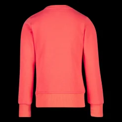 Essential Big Logo Sweatshirt, Collegegenser, Junior