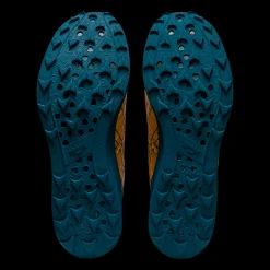 Fujispeed, Lopesko, Herre