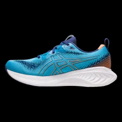 Gel-Cumulus 25, Lopesko, Herre