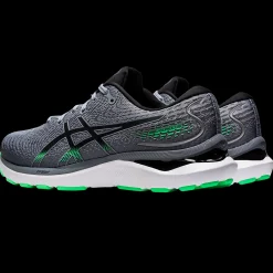 Gel-Cumulus 24 M, Lopesko Herre