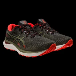 Gel-Cumulus 24 Tr, Lopesko Herre