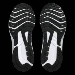 Gt-1000 12, Lopesko, Herre