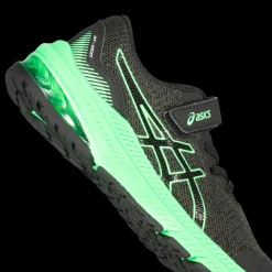 Gt-1000 11 Ps Y, Lopesko Barn