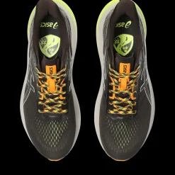 Gt-2000 12 Tr, Lopesko, Herre