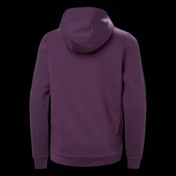 Hh Logo Hoodie 2.0, Herregenser, Junior