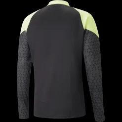 Individualcup Training 1/4 Zip Top, Treningsgenser, Herre