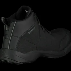 Jokk 2 Bugrip®, Piggsko Herre