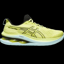 Kinsei Max, Lopesko, Herre