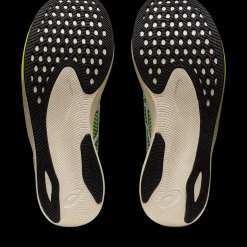 Magic Speed 2, Lopesko Herre