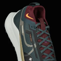 Nike Pegasus Trail 4 Gore-Tex, Vanntett Terrenglopesko, Herre