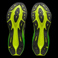 Novablast 3, Lopesko Herre