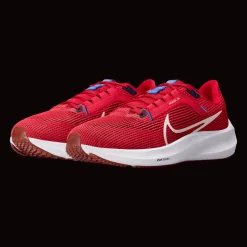 Pegasus 40, Lopesko, Herre