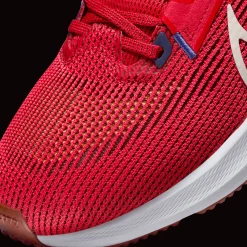 Pegasus 40, Lopesko, Herre