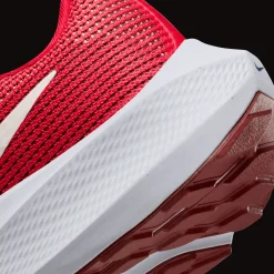 Pegasus 40, Lopesko, Herre