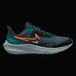 Pegasus 39 Shield, Lopesko, Herre