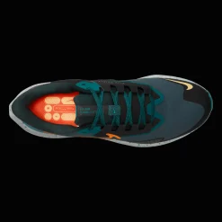 Pegasus 39 Shield, Lopesko, Herre