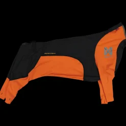 Protector Snow, Male, Heldress Hannhund