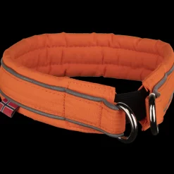 Safe Collar, Hundehalsband