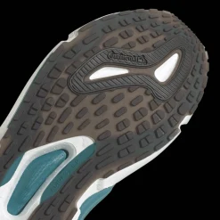 Solarboost 5, Lopesko, Herre