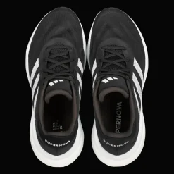 Supernova 3, Lopesko, Herre