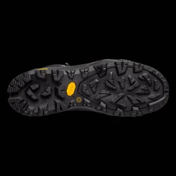 Synshorn Perf Gtx, Fjellstovel, Herre