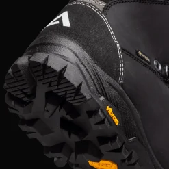 Synshorn Perf Gtx, Fjellstovel, Herre