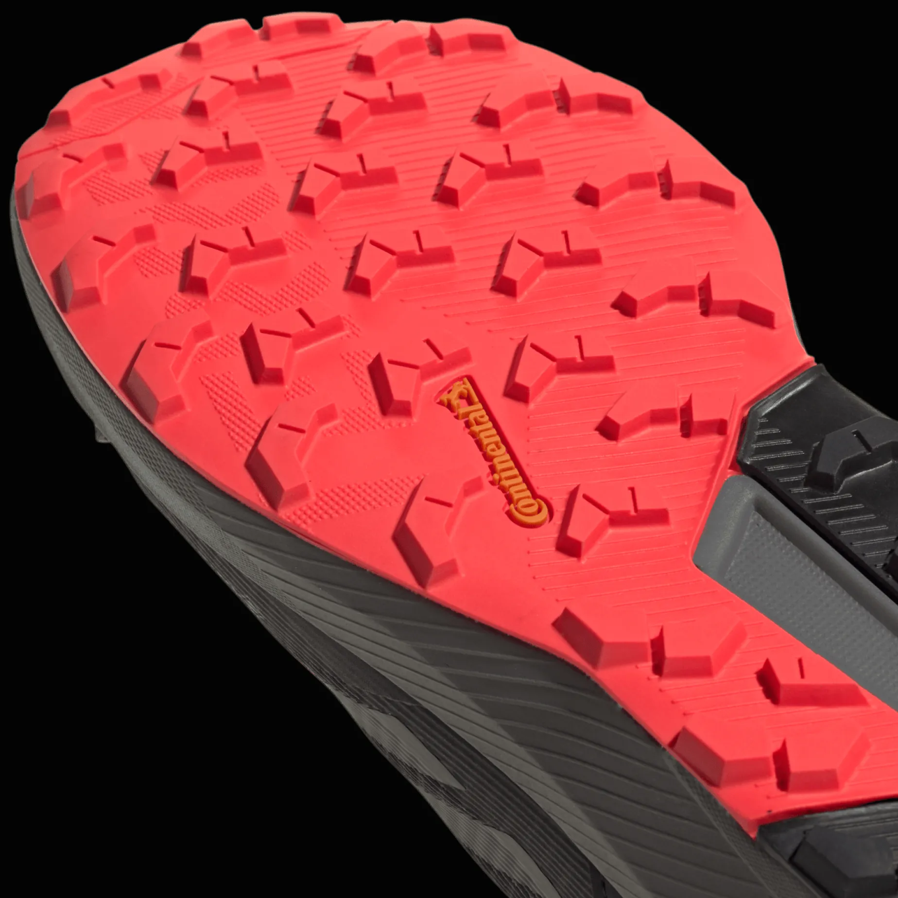 Terrex Trail Rider Gore-Tex, Terrenglopesko, Herre