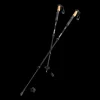 Trekking Poles Carbon, Vandrestaver, Svart