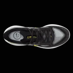 Vomero 17, Lopesko, Herre