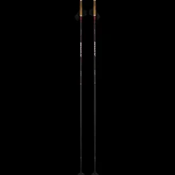 Xc Poles Dynamic D1 23/24, Langrennsstav Unisex